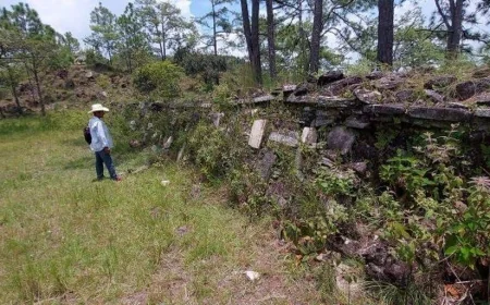 Lost city discovered on Guerrero’s Costa Chica reveals ancient civilization