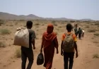IOM calls for stronger global support and enhanced migration cooperation in Djibouti