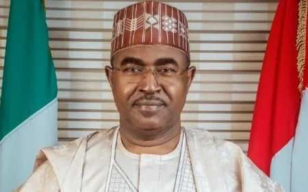 President Tinubu reappoints Buba Marwa as NDLEA Chairman for five-year term