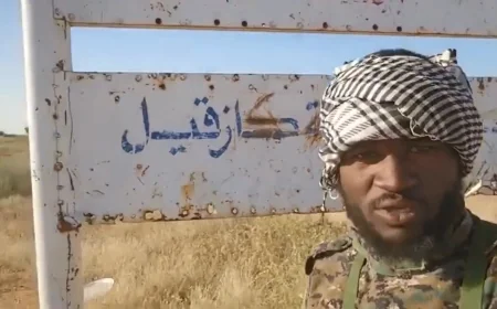 RSF burning and burying bodies near key sites in el-Fasher, Yale researchers report