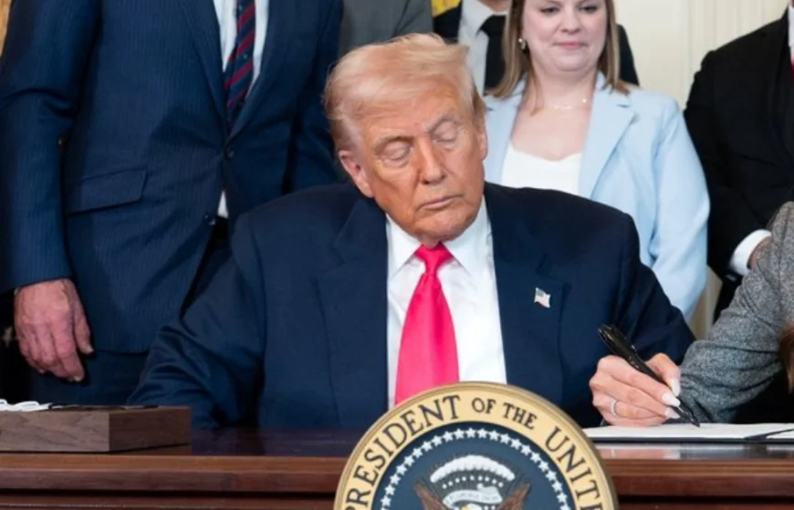 Trump's 'Preventing Woke AI' order threatens to embed racial bias in healthcare systems